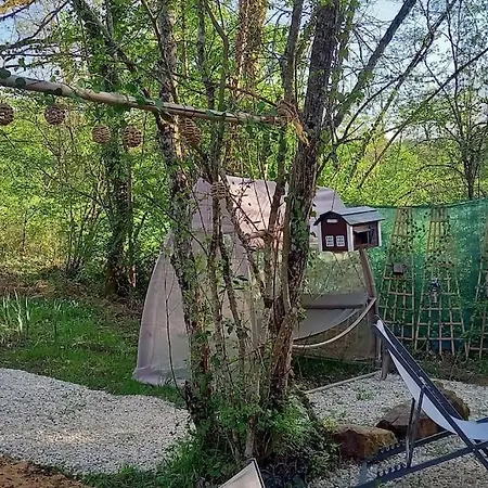Mini Maison Tiny House Et Son Bain Nordique Hébergement de vacances *