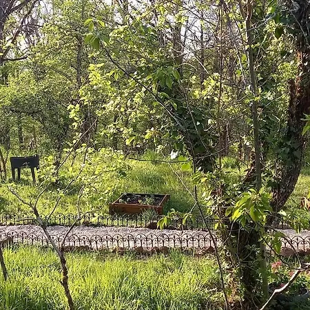 Mini Maison Tiny House Et Son Bain Nordique Dom wakacyjny Figeac