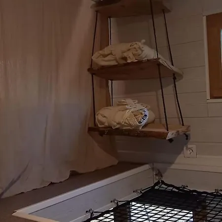 Mini Maison Tiny House Et Son Bain Nordique Hébergement de vacances *