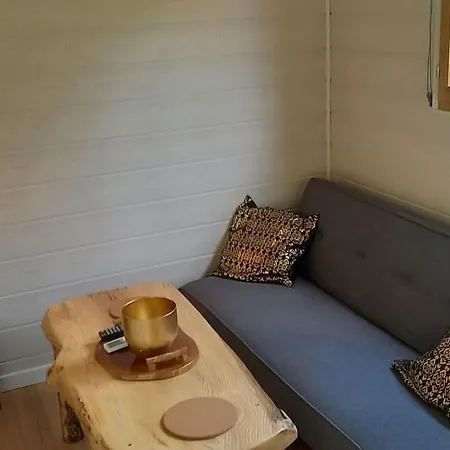 Mini Maison Tiny House Et Son Bain Nordique בית נופש פיג'אק