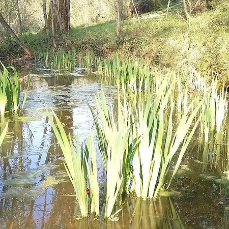 Mini Maison Tiny House Et Son Bain Nordique