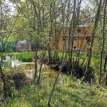 Mini Maison Tiny House Et Son Bain Nordique