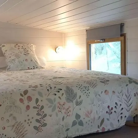 Mini Maison Tiny House Et Son Bain Nordique בית נופש