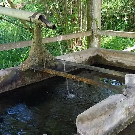 בית נופש Mini Maison Tiny House Et Son Bain Nordique פיג'אק