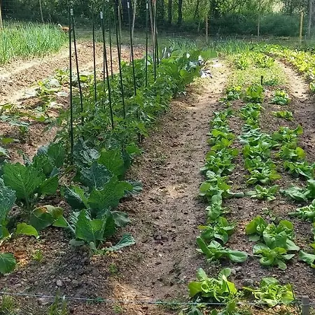 בית נופש Mini Maison Tiny House Et Son Bain Nordique *