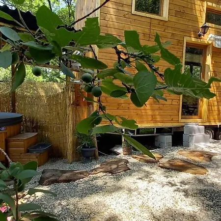 Mini Maison Tiny House Et Son Bain Nordique Figeac