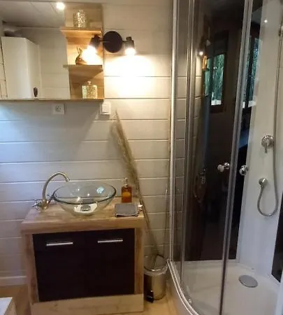Mini Maison Tiny House Et Son Bain Nordique