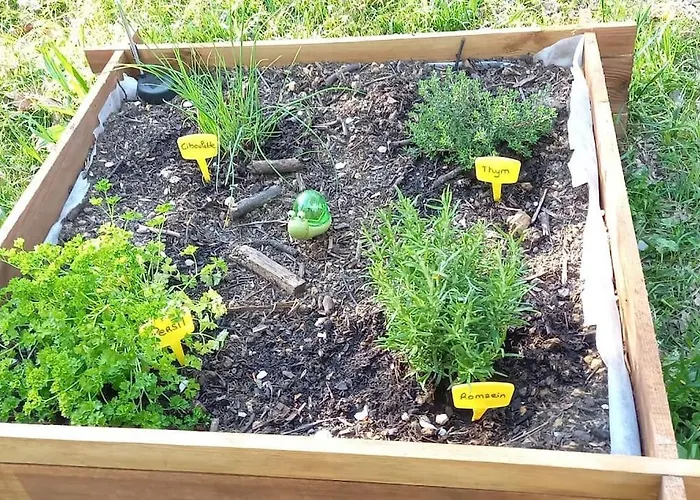 Mini Maison Tiny House Et Son Bain Nordique