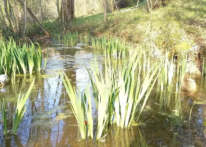 Mini Maison Tiny House Et Son Bain Nordique