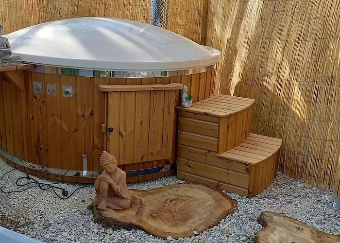 Mini Maison Tiny House Et Son Bain Nordique *