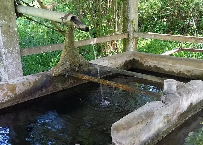 Nyaraló Mini Maison Tiny House Et Son Bain Nordique Figeac