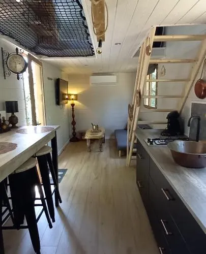Mini Maison Tiny House Et Son Bain Nordique *