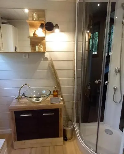 Mini Maison Tiny House Et Son Bain Nordique